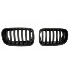 Matzwarte roosters voor BMW X5 E70