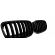 Matzwarte roosters voor BMW X5 E70