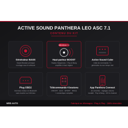 Active Sound System Panthera LEO ASC 7.1 - Sound Booster OBD Plug & Play