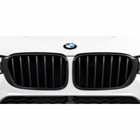 Grilles Noir Mat pour BMW X4 F26 M Performance