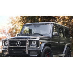 Pare-buffle pour Mercedes Classe G W463