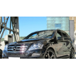 Grille Noir pour Mercedes ML W164 Look AMG