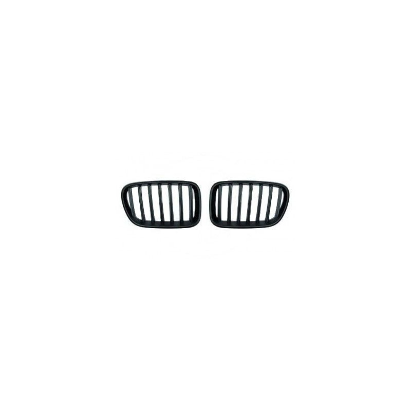 Schwarze Kühlergrillgitter für BMW X3 F25 