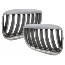 Grade de cromo para BMW X5 E53 
