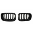 Grades de esteira preta para BMW X6 E71