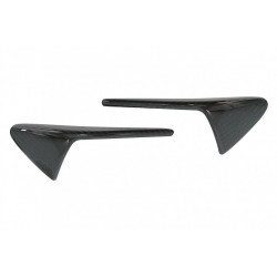Cache Clignotant en Carbone pour Tesla