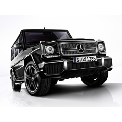 Calandra para Mercedes W463 classe G olhar G65 AMG 
