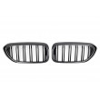Griglia a doppia striscia per Bmw Serie 5 G30 G31